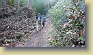 Hike-Woodside-Dec2011 (30) * 1280 x 720 * (154KB)